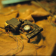 Image for article titled 142 Behind-The-Scenes Photos Reveal Blade Runner's Miniature World